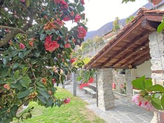 Cà dal Gracco by HolAp SA - Brione sopra Minusio - 4