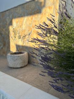 Holiday house MARIN DVOR - Vrsine - 7