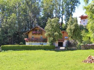 Special Apartment in Walchen with Private Terrace - Piesendorf - 0
