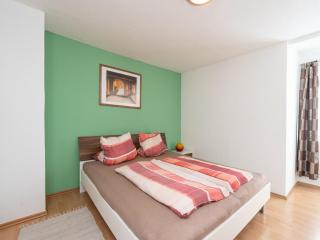 Special Apartment in Walchen with Private Terrace - Piesendorf - 3