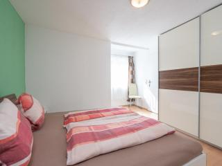 Special Apartment in Walchen with Private Terrace - Piesendorf - 4
