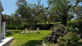 Serenity Studios Arillas Corfu - Arillas - 8