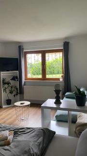 Helle 1-Zimmer Souterrainwohnung in ruhiger Lage! - Tiefenbronn - 5