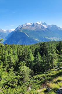 One-Room Zeneggen, Dorfstrasse 112 - Arni Alp - 6