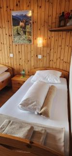 One-Room Zeneggen, Dorfstrasse 112 - Arni Alp - 4