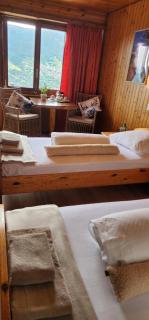 One-Room Zeneggen, Dorfstrasse 112 - Arni Alp - 3