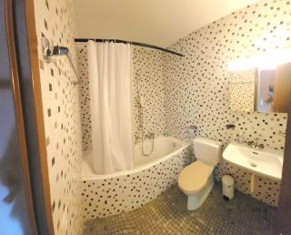 One-Room Zeneggen, Dorfstrasse 112 - Arni Alp - 2
