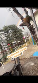 Whispering wood camps and cottage - Jāmb - 7