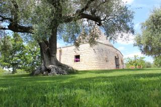 Trulli Gemma - Antonelli - 8