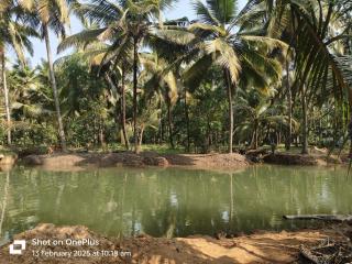 Veeru Nature Homestay Honnavara - Honāvar - 5