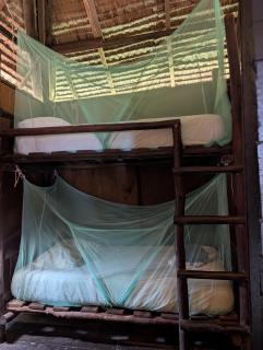 Rimba Resort - Dive Centre & Spa - 7