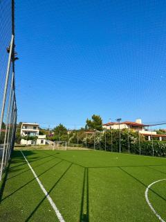 Seaside Villa with Private Football Pitch - Nea Stira - 1