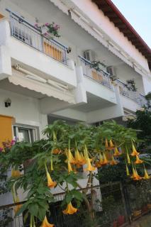 Apartments Alexandra - Pefkohori - 8