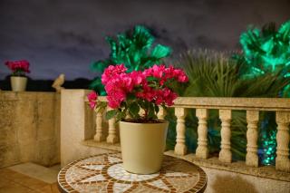 Cottage in nature with solarium - Orihuela-Costa - 1