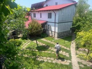 Hesta - Vama Veche - 0