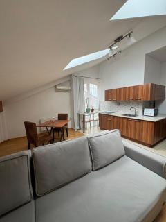 Penthouse by the park - 8