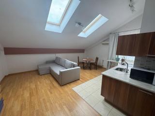 Penthouse by the park - Chişinău - 4