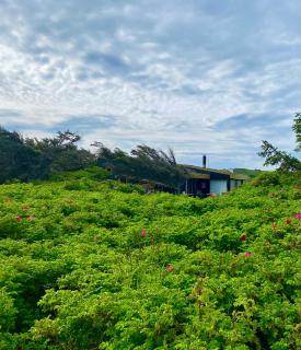 Large bright summerhouse close to the sea and beaches - Lønstrup - 2