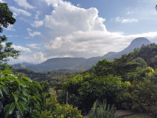 Knuckles Range Bunglow - Kandy - 1