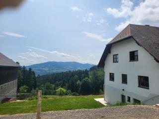 Gabriel&Anamaria - Vorau - 1