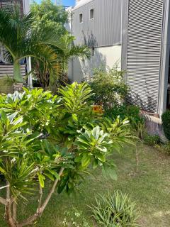 T2-3 résidentiel avec piscine - 5