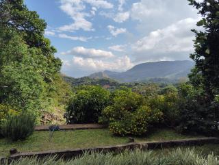Knuckles Range Bunglow - Kandy - 3