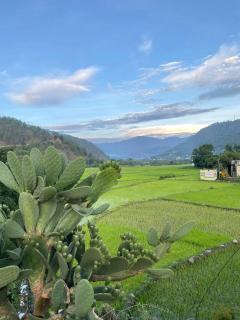 Cortland Jungle Resort - Kausani - 2