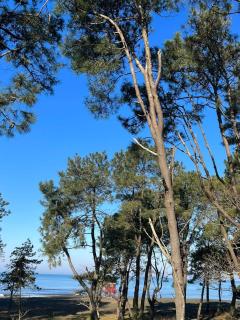 Terrace Kapro-one - 3