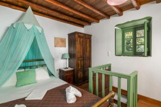 The Green House - Adamas - 0