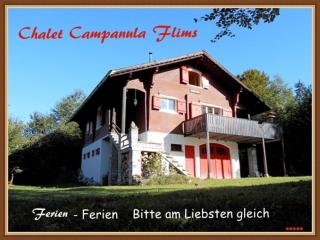 Chalet Casa Campanula - Flims - 1