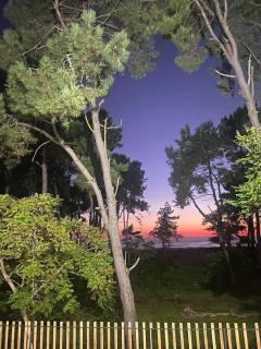 Terrace Kapro-one - 1