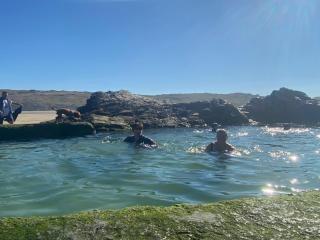 39 Perran View Your Home Away from Home in Cornwall - St Agnes - 5