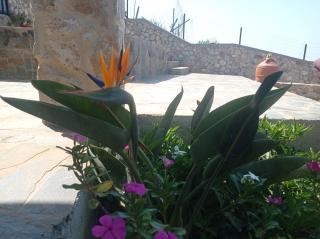 Tassos Holiday home - Archangelos - 2