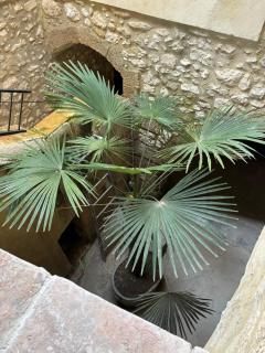 Appartement au cœur de Collias - Collias - 9
