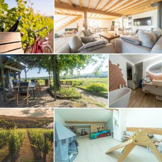 Villa au calme, vue sur vignes - idéale familles, clim & parking - La Chapelle-de-Guinchay - 1