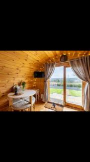 Jacob's Den - Swansea - 1