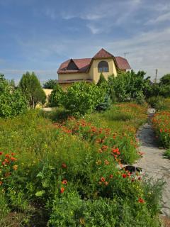 Mery Pery - Erevan - 8
