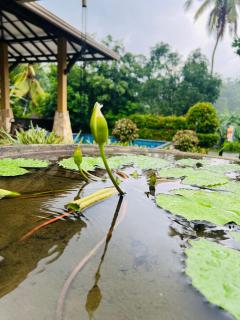 Luxury Bungalow In Galle - 6