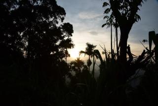 Solo Nest - Ella, Sri Lanka - Ella - 2