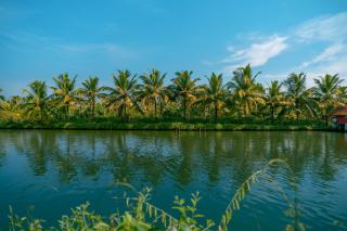Munroe Island Lake Resort - Kollam - 6