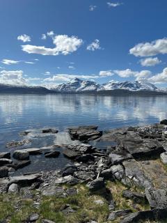 Modern and cozy fjord view cabin - - 9