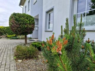 Apartmenthaus Ostseeluft - Lohme - 7