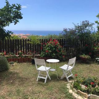 Lavanda - Marina di Camerota - 7