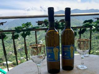 tamazis guest house - Batumi - 5