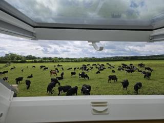 Lovely Laois Loft Apartment - Carlow - 9