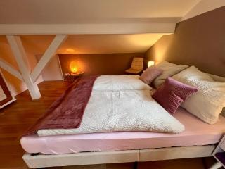 Room with a Skylight - gemütliches Zimmer zwischen München und Rosenheim - Feldkirchen-Westerham - 7