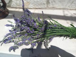 Kuća za odmor Skalina - Sea view - 7