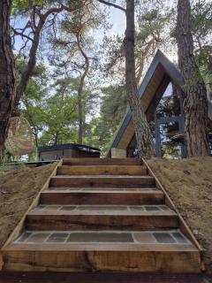 Chalet CanopéA 28 m2 au Domaine CollinéA - Bathernay - 2