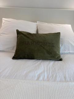 Appartement Loft - 1