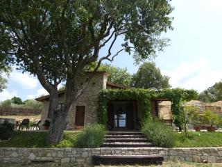 Scappo in Umbria, Le Salce - Civitella Del Lago - 7